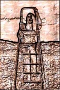 sitesalon - the new internet forum for the arts - photography, video and poetry